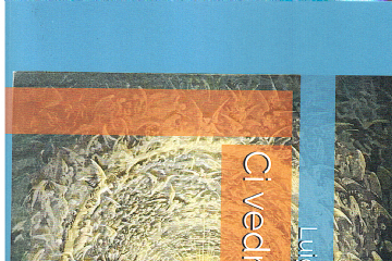 Presentazione Libro Luigi Cacciapuoti