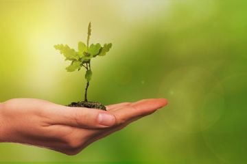 AVVISO INCONTRO PER IL 18/12/2025 ORE 12,00 PER indagine Esplorativa